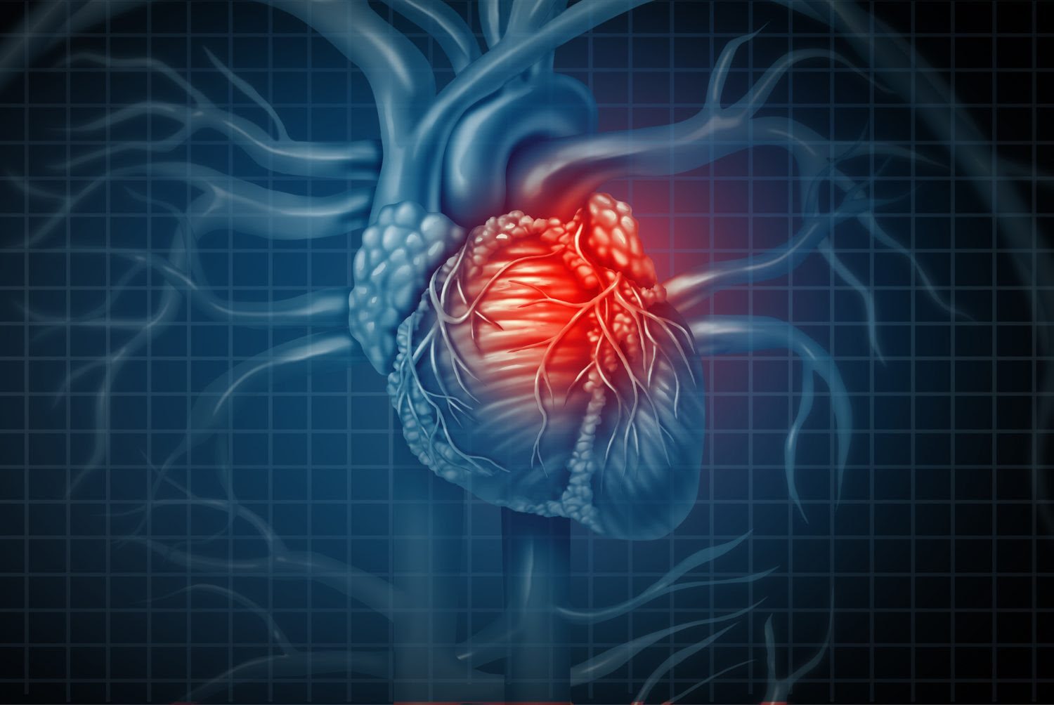 heart